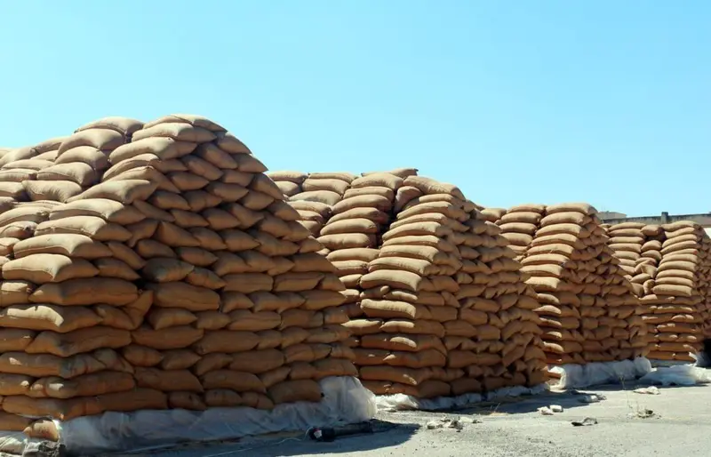 المؤسسة السورية للحبوب تعزز طاقتها التخزينية لأكثر من مليون طن قمح